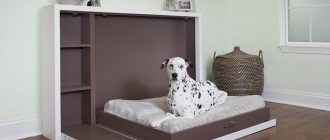 Business idea for making furniture for animals