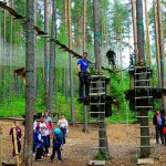 Бизнес-идея открытия веревочного парка