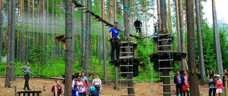 Бизнес-идея открытия веревочного парка