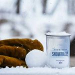 Business idea: selling snowballs