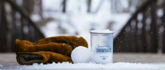 Business idea: selling snowballs