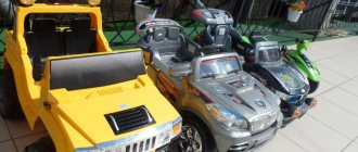 Business idea for renting children's electric cars