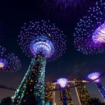 Бизнес-иммиграция в Сингапур