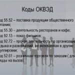 Бизнес-план базы отдыха