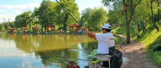 Бизнес план платной рыбалки