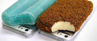 smartphone case in the form of ice cream