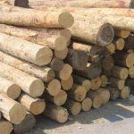 деревообработка бизнес план