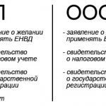 Документы для ИП и ООО для перехода на ЕНВД
