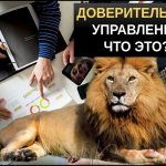 Доверительное управление что это