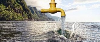 две бизнес идеи на воде