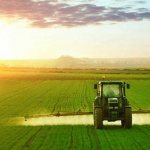 есхн доходы и расходы