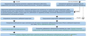 этап наблюдения в ходе процедуры банкротства