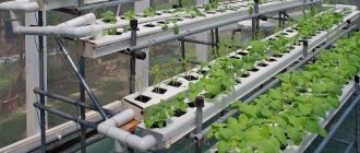 Hydroponics