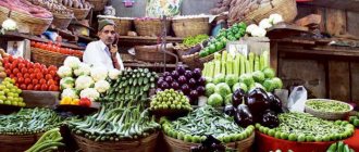 идеи для стартапа без вложений