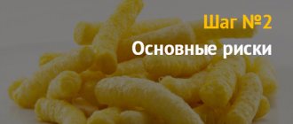 Business idea: how to start a corn sticks production