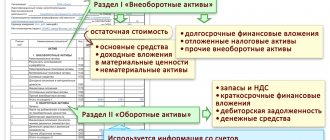Instructions for filling out a balance sheet
