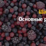 Как открыть бизнес на производстве замороженных фруктов и овощей