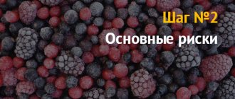 Как открыть бизнес на производстве замороженных фруктов и овощей