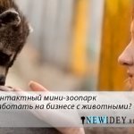 как открыть, частный, контактный мини-зоопарк, как заработать, на бизнесе с животными