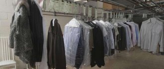 Как открыть химчистку и получить до 300 000 прибыли