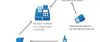 How does EGAIS work?
