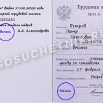 Как заполнить дубликат трудовой книжки