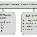 Какие декларации сдает ИП