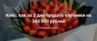 Кейс клубника