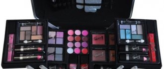 Makeup artist case