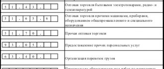 Код ОКВЭД по виду деятельности