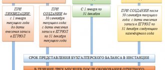 When to submit a balance sheet if the reporting period is shortened or extended
