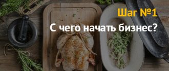 Куры гриль: бизнес план