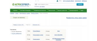 Малиновый бизнес - как заработать на выращивании малины