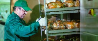 Мини коптильня как бизнес