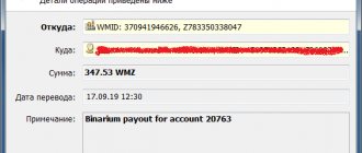 my earnings on the Internet using binary options