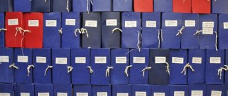Numbering of orders