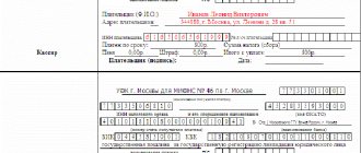 Образец квитанции госпошлины