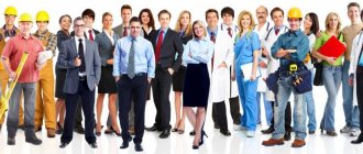 обязанности директора ИП