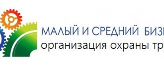 Организация охраны труда на малом предприятии