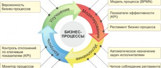 Business Management Basics