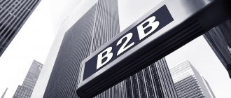 Features of the B2B market