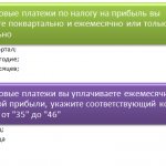 Порядок заполнения декларации по налогу на прибыль в 2020 году