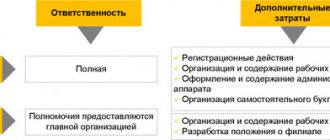 Advantages and disadvantages of forms of organizations