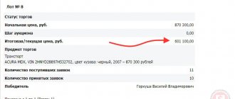 example of bidding on a public offering