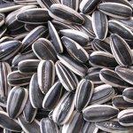 производство жареных семечек