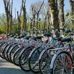 Прокат велосипедов как бизнес