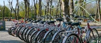 Bicycle rental as a business