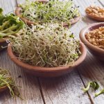 Пророщенная пшеница