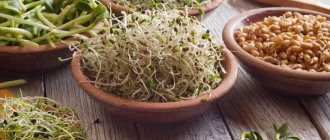 Sprouted wheat