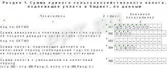 Section 1